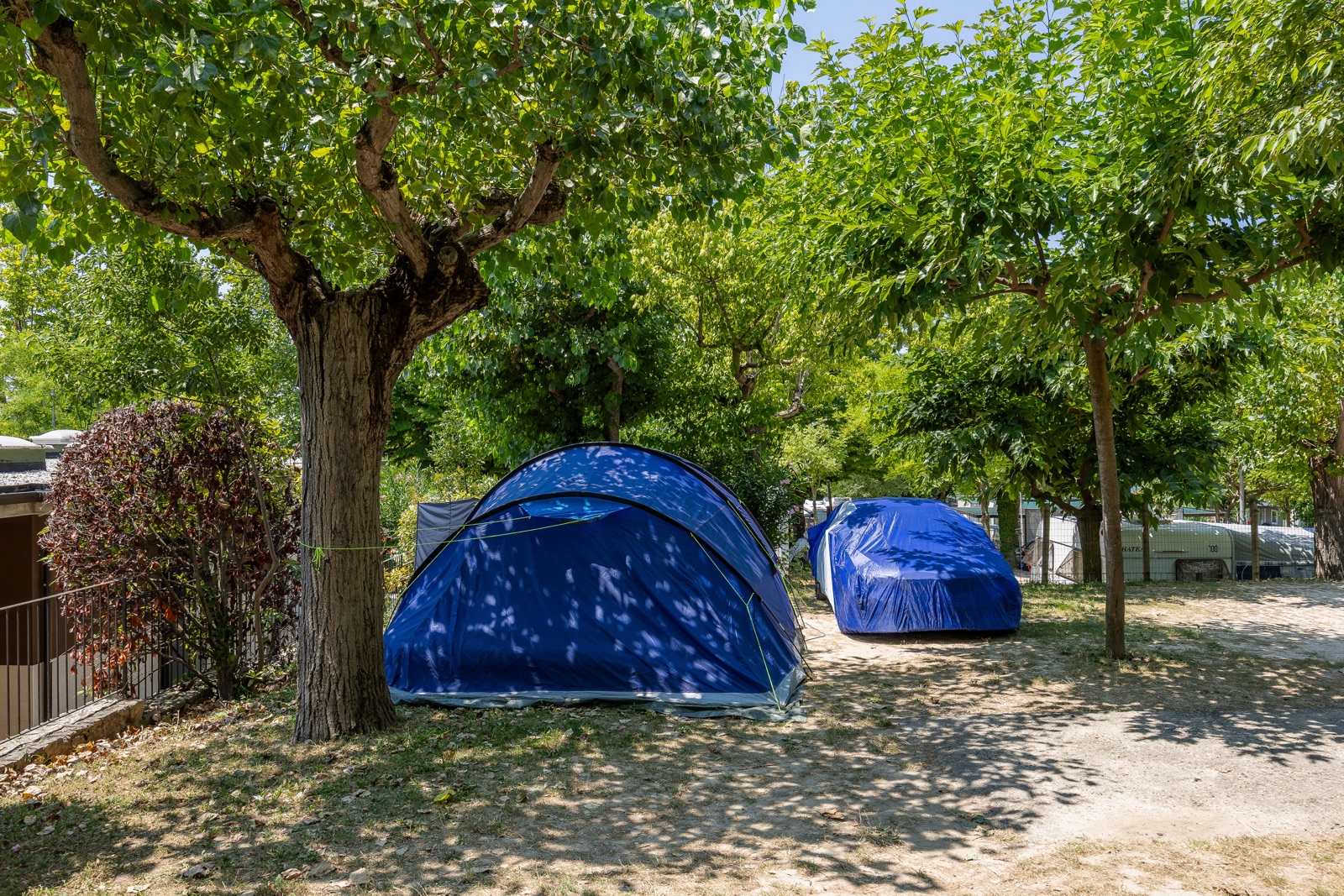 Mini-Stellpltze  Spiaggia D'Oro Camping & Village